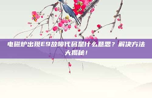 电磁炉出现E9故障代码是什么意思？解决方法大揭秘！