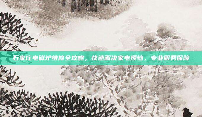 石家庄电磁炉维修全攻略,快速解决家电烦恼,专业服务保障