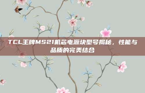 TCL王牌MS21机芯电源块型号揭秘，性能与品质的完美结合