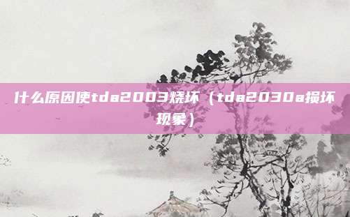 什么原因使tda2003烧坏（tda2030a损坏现象）