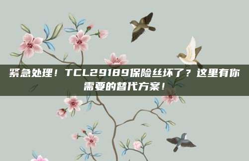 紧急处理！TCL29189保险丝坏了？这里有你需要的替代方案！