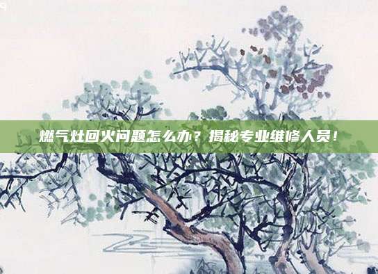 燃气灶回火问题怎么办?揭秘专业维修人员!