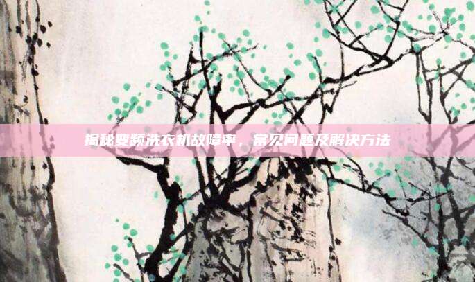 揭秘变频洗衣机故障率，常见问题及解决方法