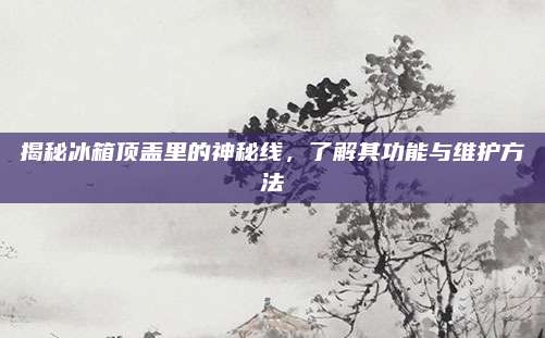 揭秘冰箱顶盖里的神秘线，了解其功能与维护方法