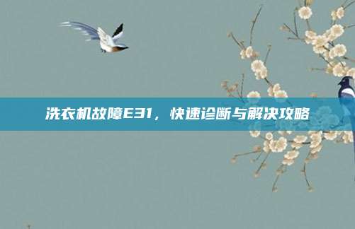 洗衣机故障E31，快速诊断与解决攻略