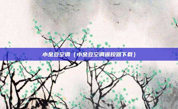 小金豆空调（小金豆空调遥控器下载）