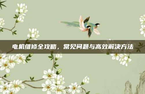 电机维修全攻略，常见问题与高效解决方法