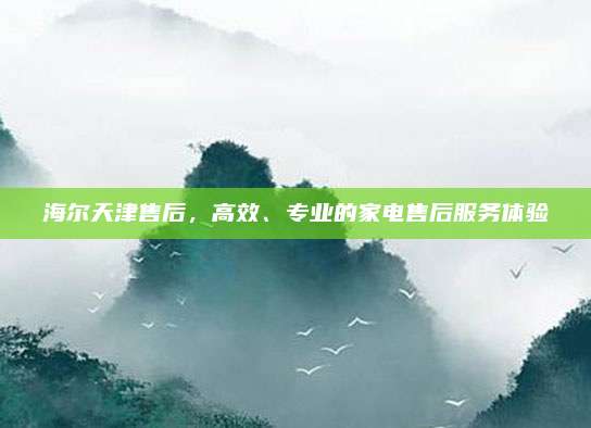 海尔天津售后，高效、专业的家电售后服务体验