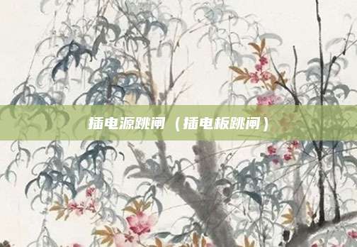 插电源跳闸(插电板跳闸)