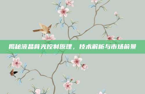 揭秘液晶背光控制原理，技术解析与市场前景