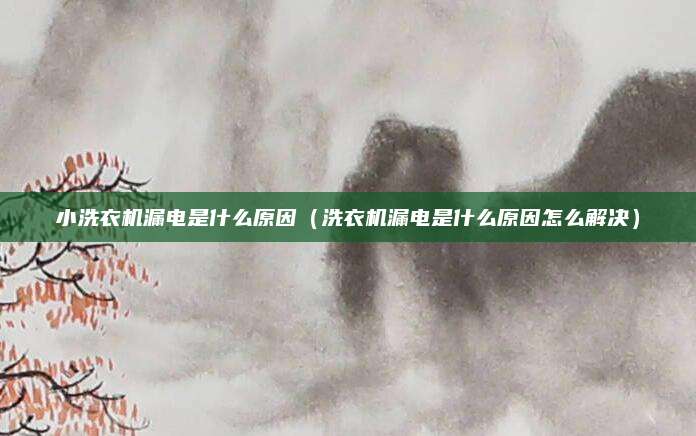 小洗衣机漏电是什么原因（洗衣机漏电是什么原因怎么解决）