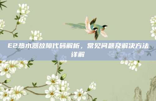 E2热水器故障代码解析,常见问题及解决方法详解