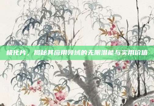 极化片，揭秘其应用领域的无限潜能与实用价值