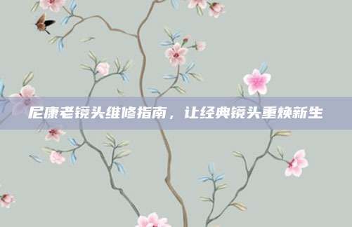 尼康老镜头维修指南,让经典镜头重焕新生