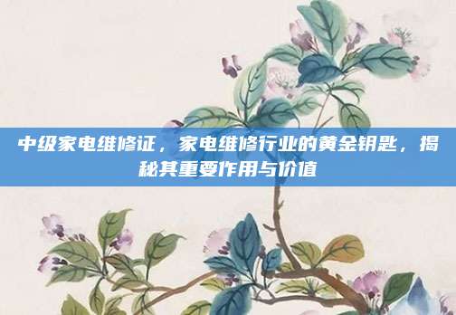 中级家电维修证，家电维修行业的黄金钥匙，揭秘其重要作用与价值