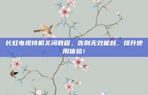 长虹电视待机关闭教程，告别无效能耗，提升使用体验！