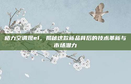 格力空调现e1，揭秘这款新品背后的技术革新与市场潜力