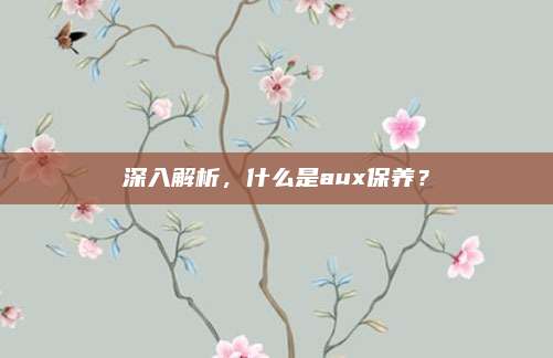 深入解析，什么是aux保养？