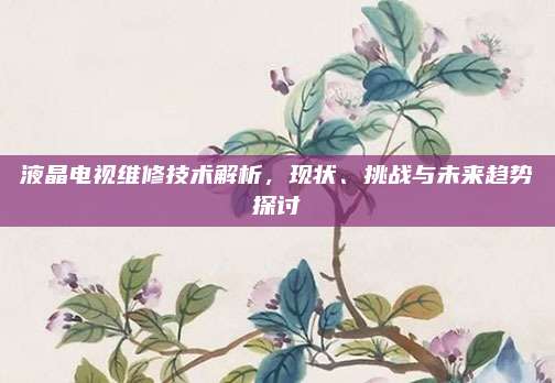 液晶电视维修技术解析,现状、挑战与未来趋势探讨
