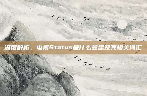 深度解析，电视Status是什么意思及其相关词汇