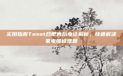 实用指南Tosot合肥售后电话解析,快速解决家电维修难题