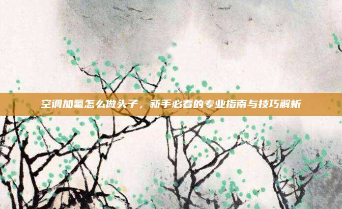 空调加氟怎么做头子,新手必看的专业指南与技巧解析
