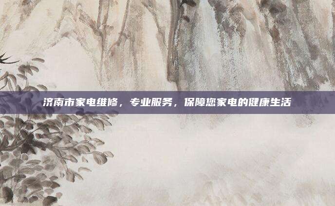 济南市家电维修，专业服务，保障您家电的健康生活