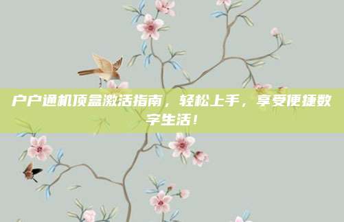 户户通机顶盒激活指南,轻松上手,享受便捷数字生活!