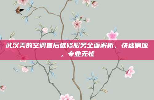 武汉美的空调售后维修服务全面解析,快速响应,专业无忧