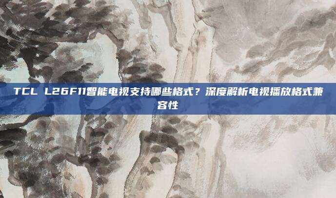 TCL L26F11智能电视支持哪些格式?深度解析电视播放格式兼容性
