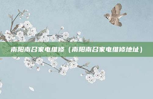 南阳南召家电维修（南阳南召家电维修地址）