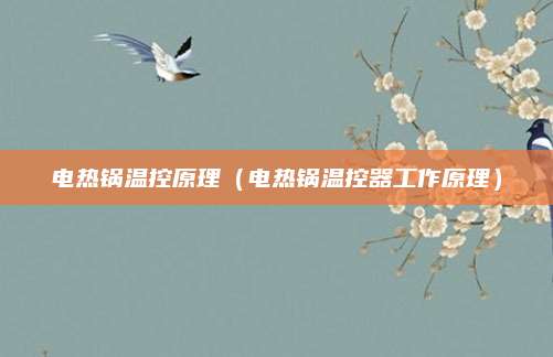 电热锅温控原理（电热锅温控器工作原理）