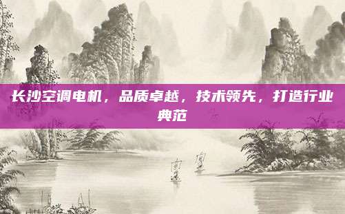 长沙空调电机，品质卓越，技术领先，打造行业典范