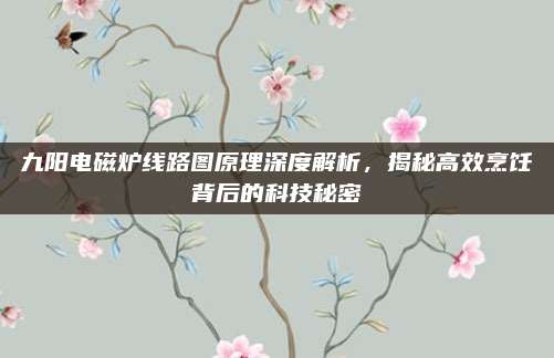 九阳电磁炉线路图原理深度解析,揭秘高效烹饪背后的科技秘密