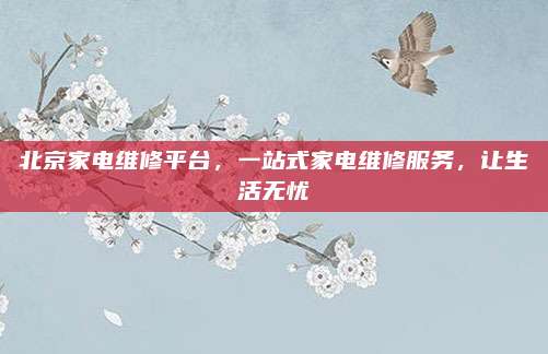 北京家电维修平台，一站式家电维修服务，让生活无忧