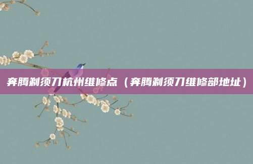奔腾剃须刀杭州维修点（奔腾剃须刀维修部地址）