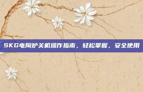 SKG电陶炉关机操作指南，轻松掌握，安全使用