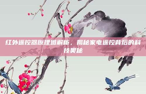 红外遥控器原理图解析，揭秘家电遥控背后的科技奥秘