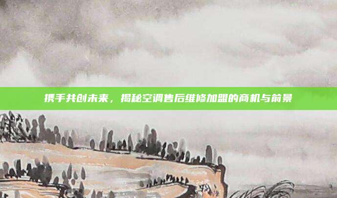 携手共创未来，揭秘空调售后维修加盟的商机与前景