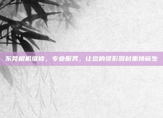 东莞相机维修,专业服务,让您的摄影器材重焕新生