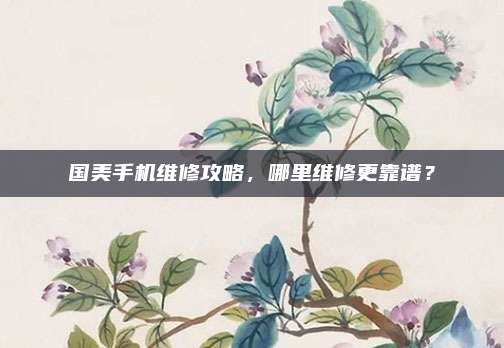国美手机维修攻略,哪里维修更靠谱?