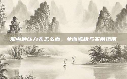 加雪种压力表怎么看，全面解析与实用指南