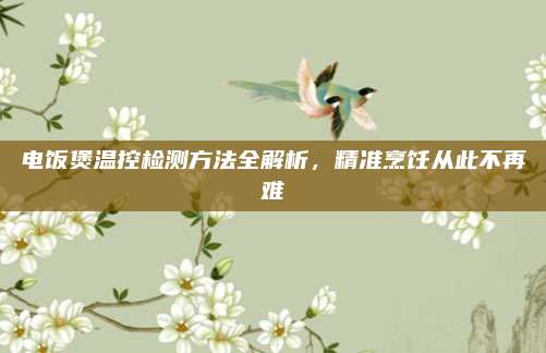 电饭煲温控检测方法全解析，精准烹饪从此不再难