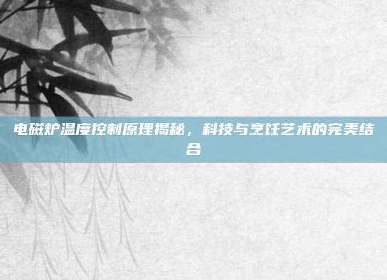 电磁炉温度控制原理揭秘，科技与烹饪艺术的完美结合
