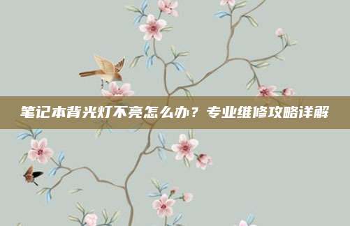 笔记本背光灯不亮怎么办？专业维修攻略详解
