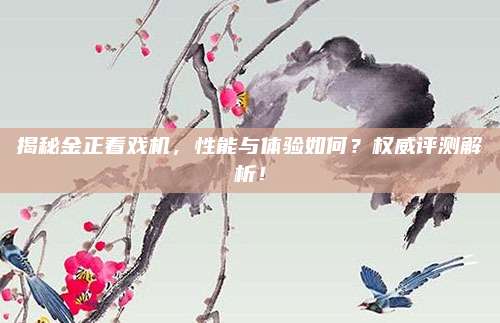 揭秘金正看戏机，性能与体验如何？权威评测解析！