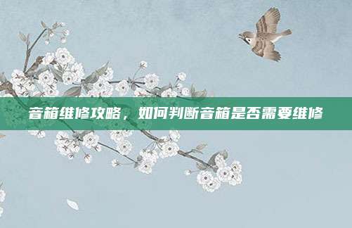 音箱维修攻略，如何判断音箱是否需要维修