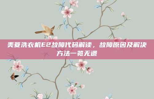 美菱洗衣机E2故障代码解读,故障原因及解决方法一览无遗