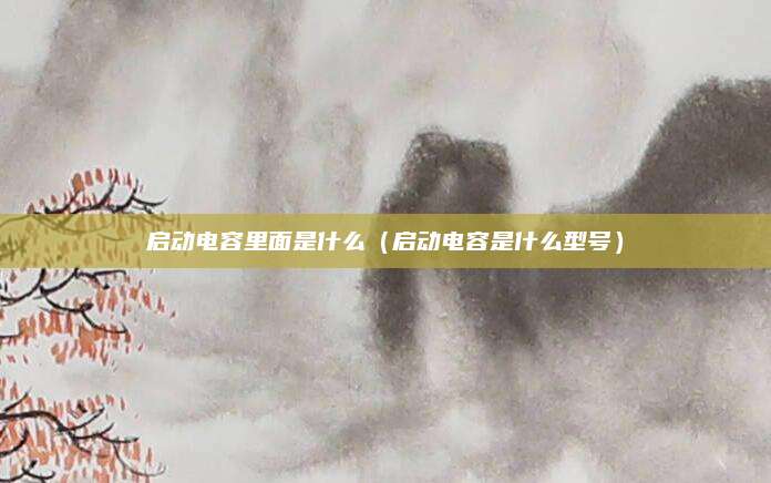 启动电容里面是什么（启动电容是什么型号）