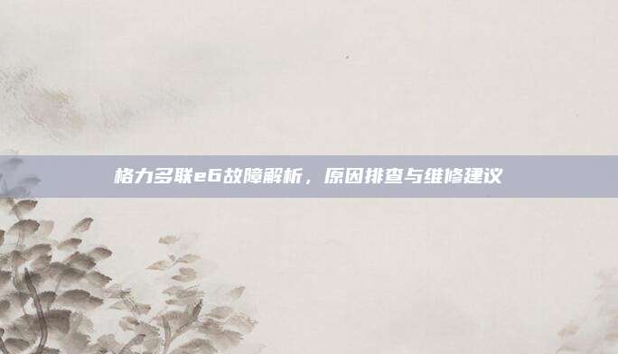 格力多联e6故障解析,原因排查与维修建议